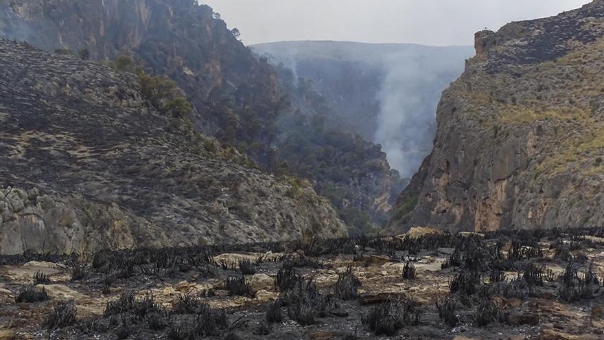 Estado del Cañón de Almadenes tras el incendio