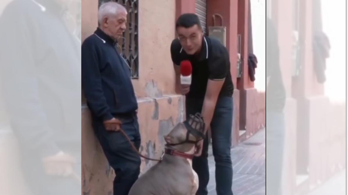 El reportero de Cuatro acaricia a Daddy, el perro antiokupas de Zaragoza
