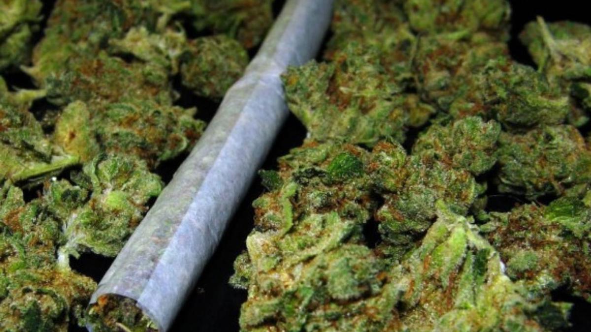 Imagen de archivo de cannabis.