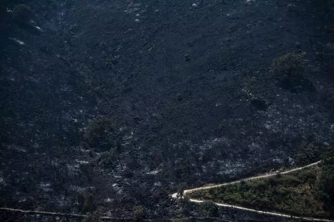 La huella de la tragedia: las imágenes de la 'zona cero' del incendio de Jarilla