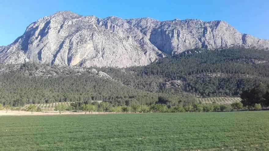 Los municipios que pertenecen a la Mancomunidad de Sierra Espuña quieren más atención.