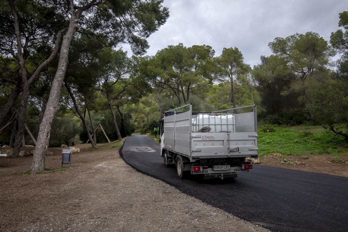 Las fotos del asfaltado del bosque de Bellver que indigna a ciudadanos y ecologistas