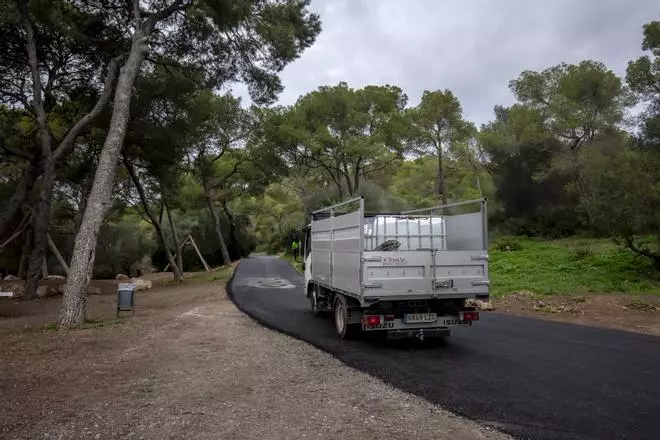 Las fotos del asfaltado del bosque de Bellver que indigna a ciudadanos y ecologistas