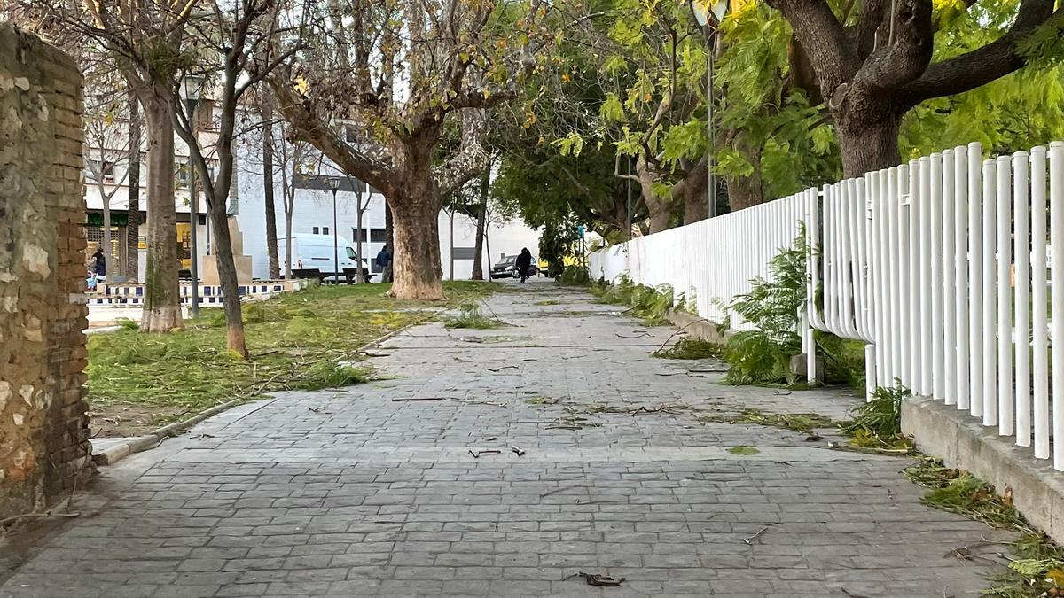 Parque Silvestre d'Edeta con ramas múltiples caídas por el viento