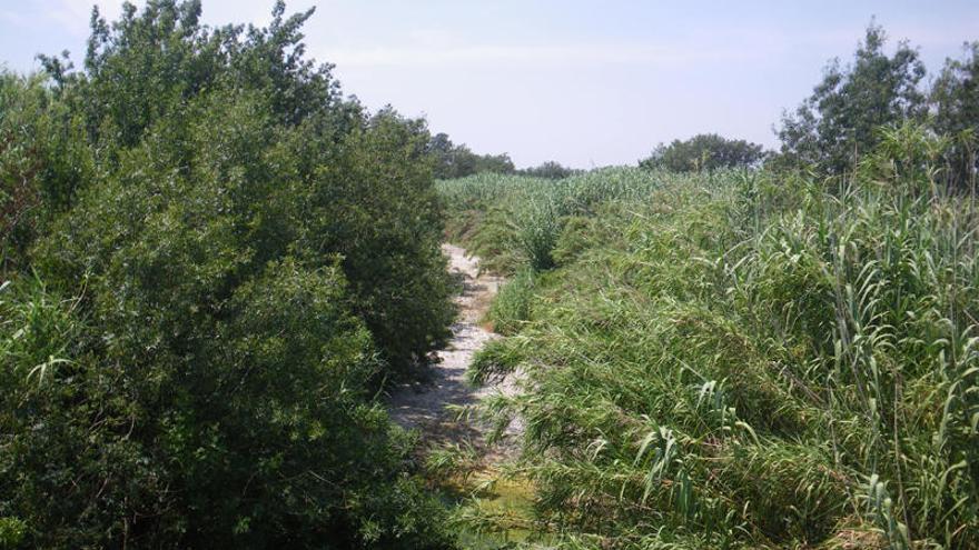 L&#039;ACA adequa més d&#039;un quilòmetre de llera del riu Orlina, a Peralada