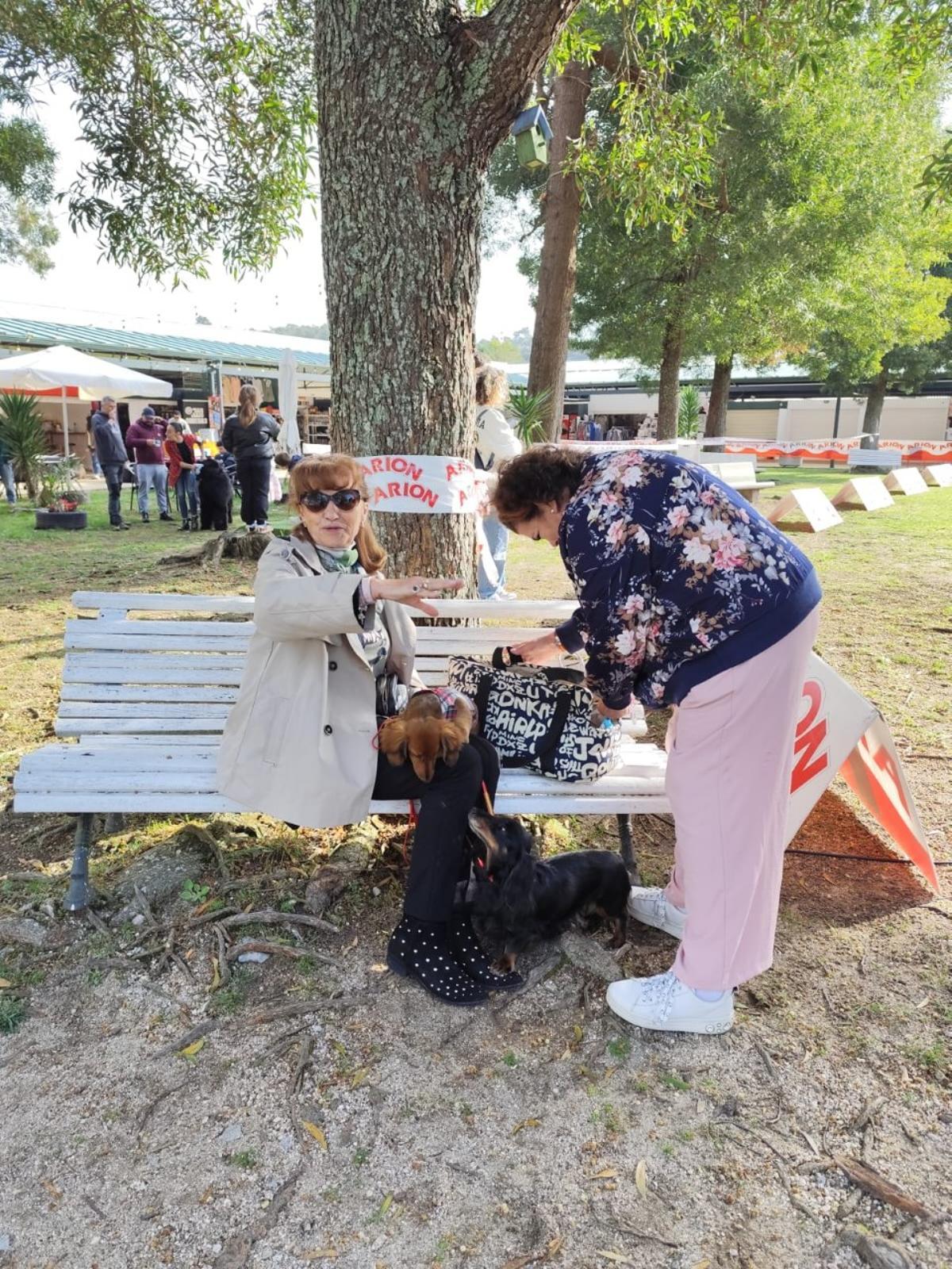 Asistentes al Campeonato Nacional Canino de la isla de A Toxa.