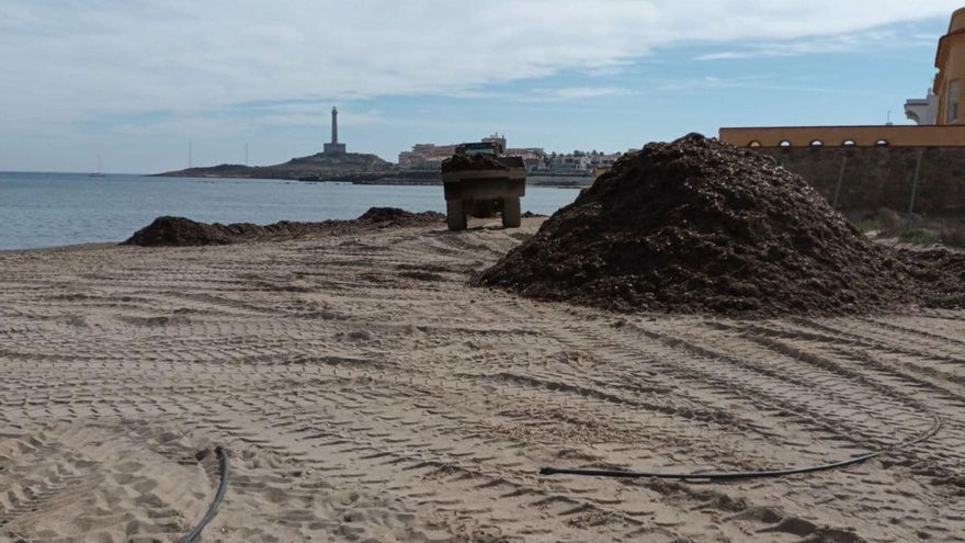 Los operarios , en una de las playas de La Manga . | AYTO.CARTAGENA.