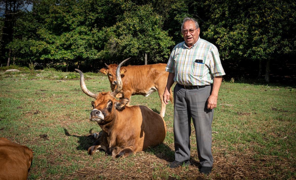 El presidente de la comunidad de montes, Manuel Castro.