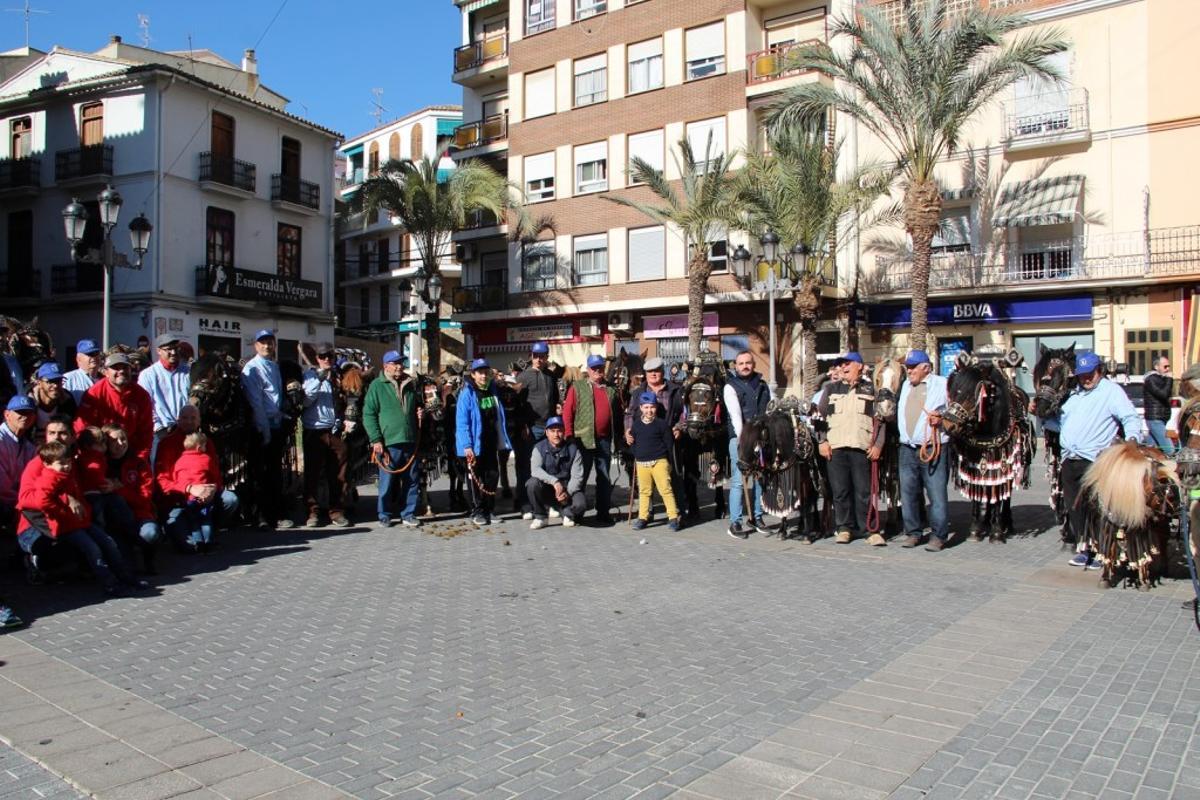Imagen de archivo de la bajada de troncos, arrastrados por caballos, en las celebraciones de Sant Blai en Benaguasil.