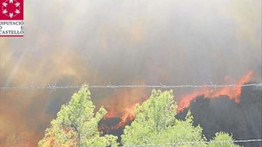 El fuego devasta 5 hectáreas junto al Desert de les Palmes