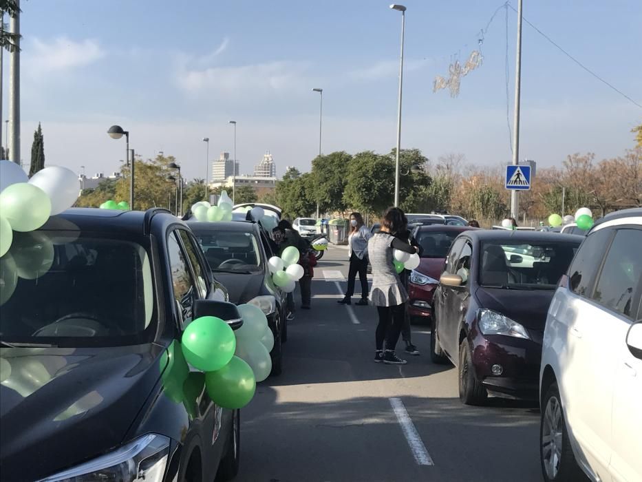 Una marcha teñida de verde y blanco para defender "el bien común"