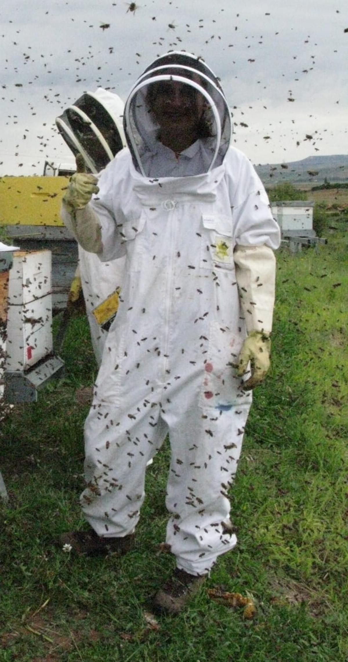 Cristina Botías es bióloga y su trabajo se centra en estudiar cómo los patógenos y los plaguicidas afectan a las abejas y otros polinizadores.