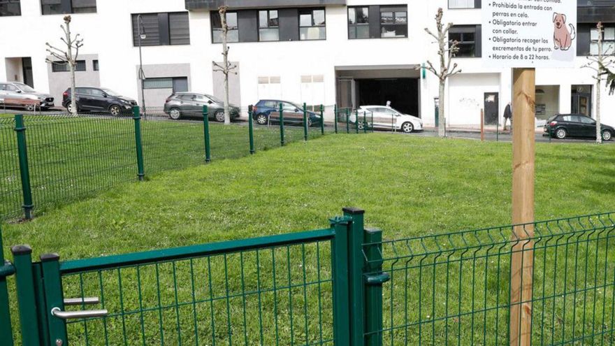 Malestar con los nuevos parques para perros de Avilés: &quot;Son un peligro&quot;