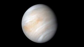 Venus albergaría alguna forma de vida: descúbrela