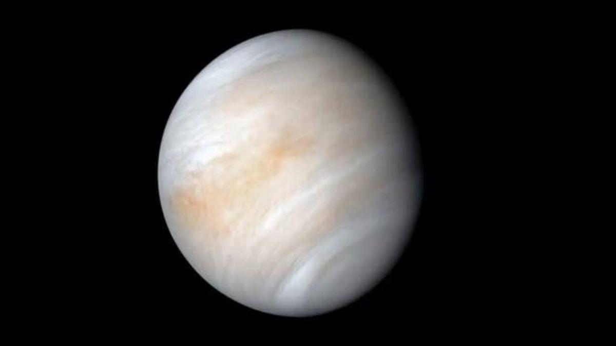 Vista de Venus obtenida por la nave espacial Mariner 10 de la NASA, un planeta del tamaño de la Tierra envuelto en una densa capa de nubes.