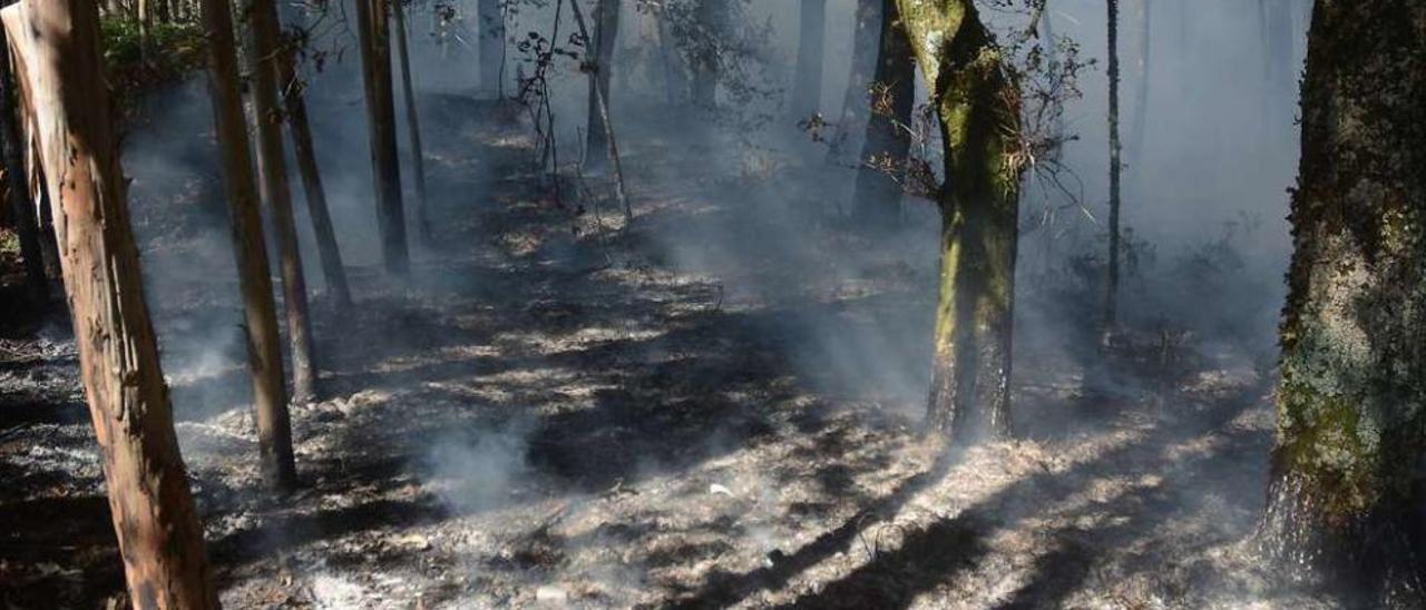 Terreno quemado durante un reciente incendio en los montes de Dorrón, Sanxenxo. // Rafa Vázquez