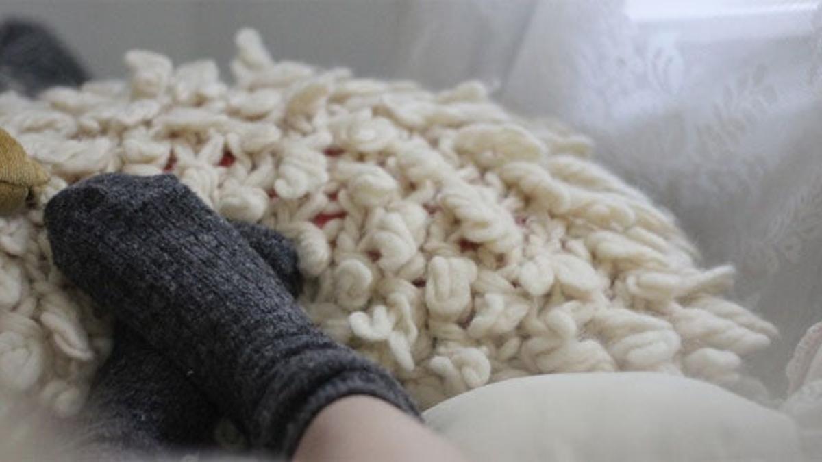 ¿Calcetines en la cama? ¡Sí!