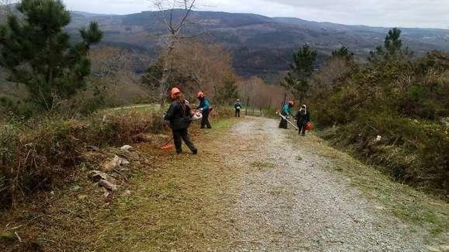 Imagen de algunos de los trabajos realizados.