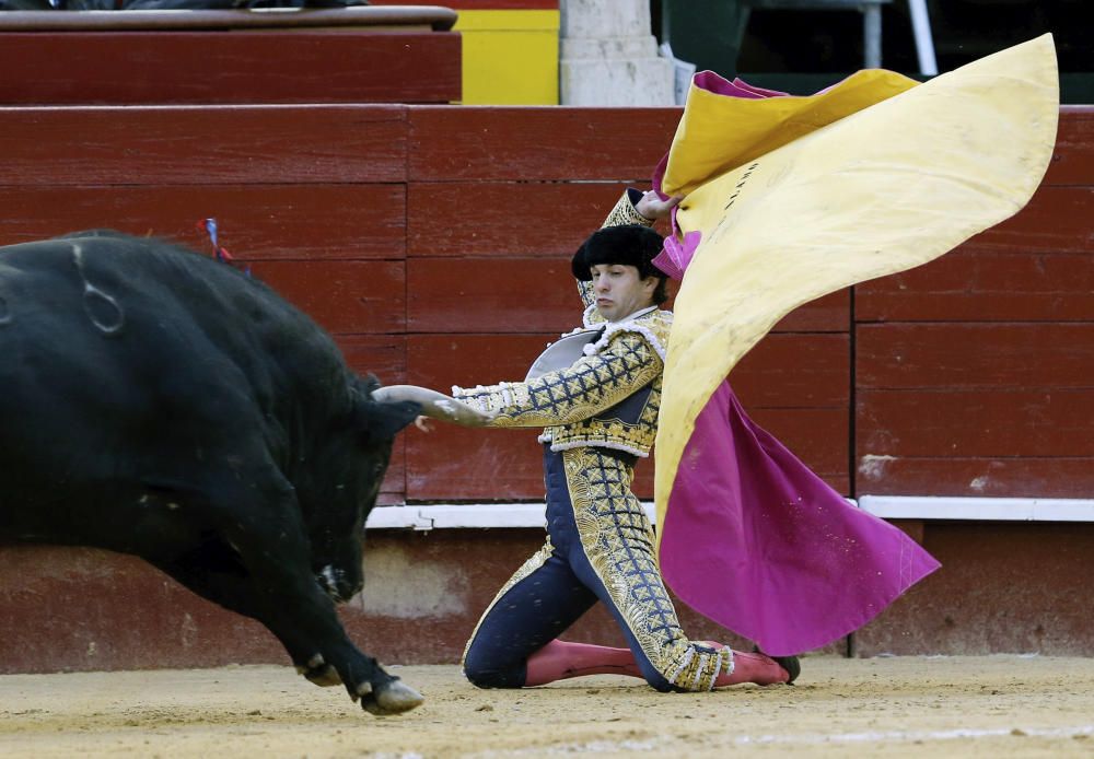 Quinto festejo de la Feria de las Fallas