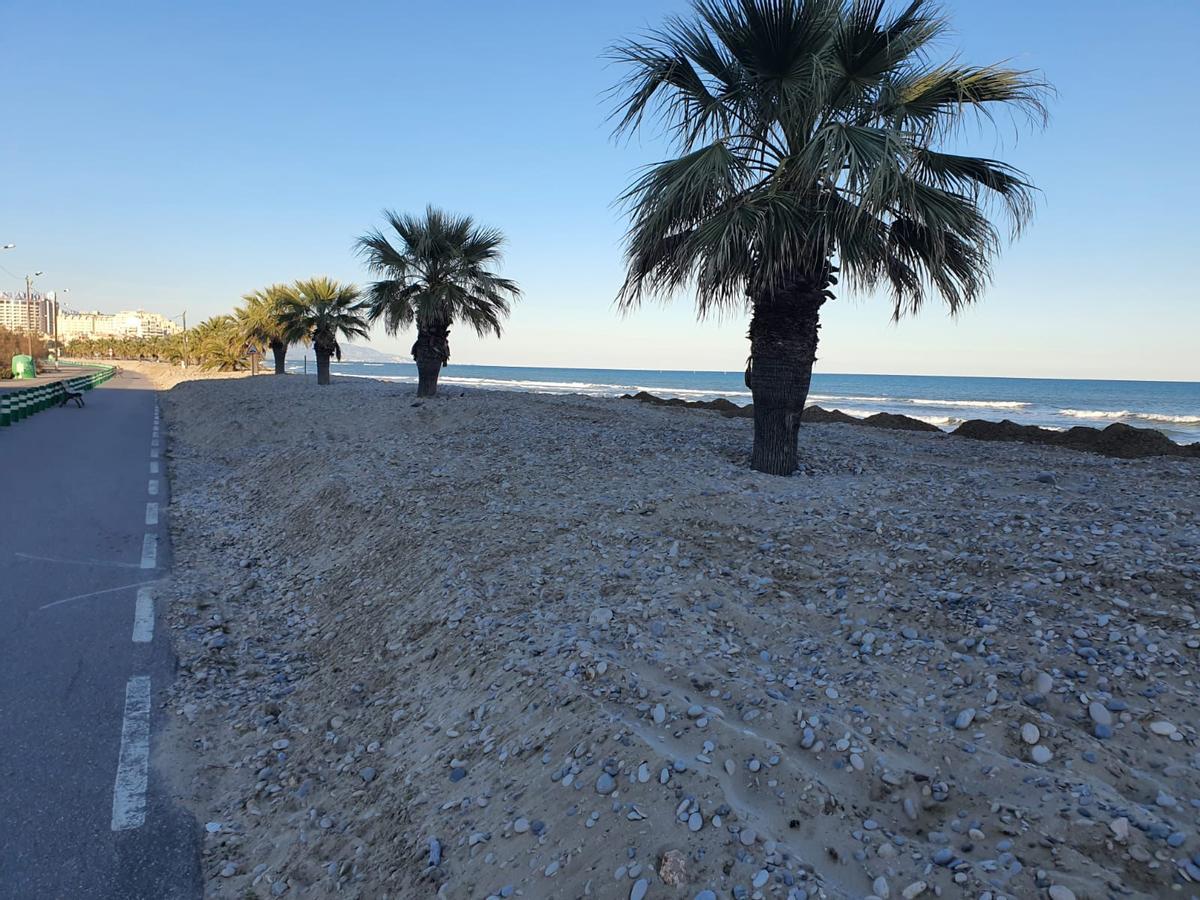 La arena procede de la playa de la Concha.