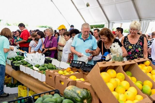 II Feria del Aguacate en Arguineguín