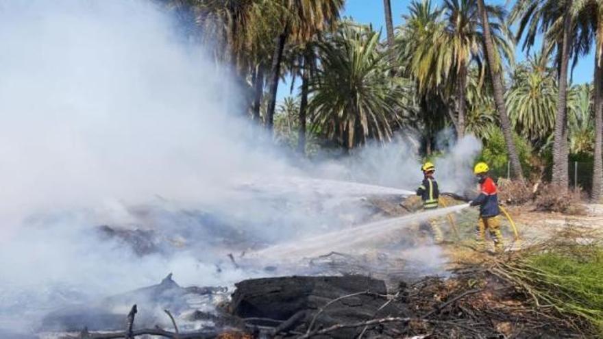 Incendio en pleno corazón del Palmeral de Elche