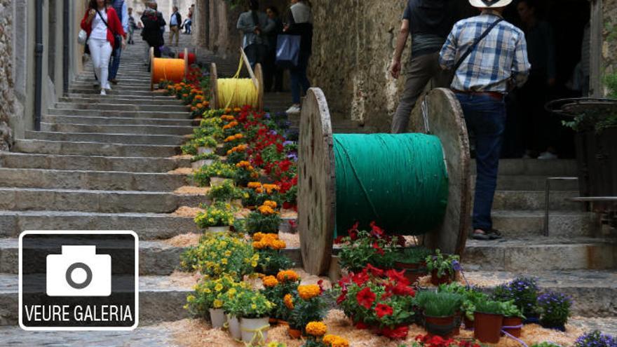 Milers de flors i visitants omplen els carrers de Girona per Temps de Flors