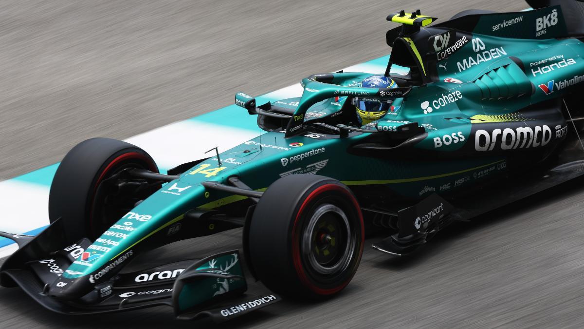 Fernando Alonso, durante la carrera en Sepeng