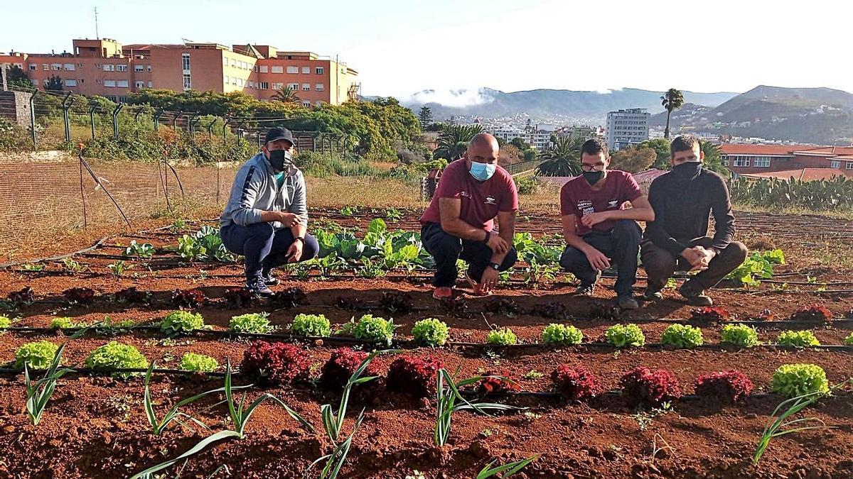 Varias personas en una huerta del municipio.