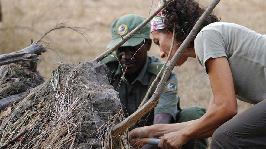 Una exalumna de la Uex descubre 22 nuevos tipos de hongos en Mozambique