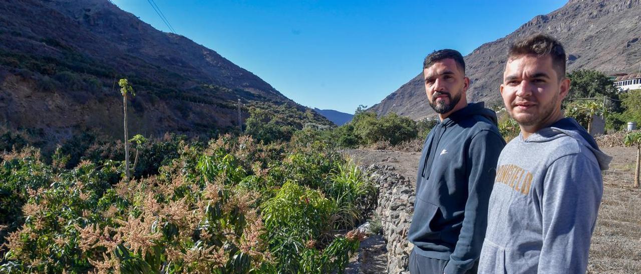 Por la izquierda, Guillermo Bueno y Adrián Saavedra en la finca del primero en el barranco de Mogán.