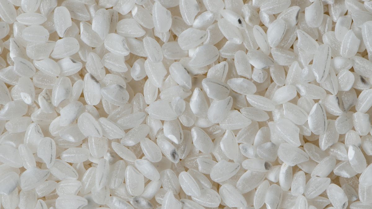 El arroz es un elemento muy popular en nuestra dieta