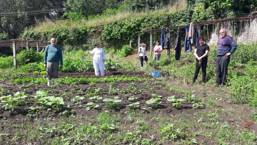 Una apuesta por la agricultura social