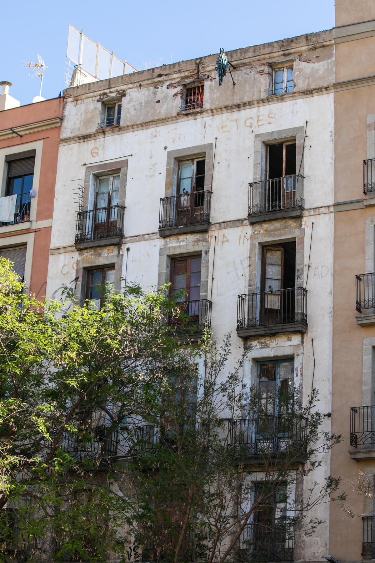 Las palomas toman un bloque abandonado en el casco antiguo de Barcelona
