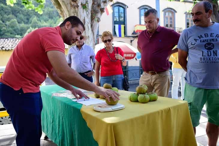 Fiesta de la manzana de Valleseco