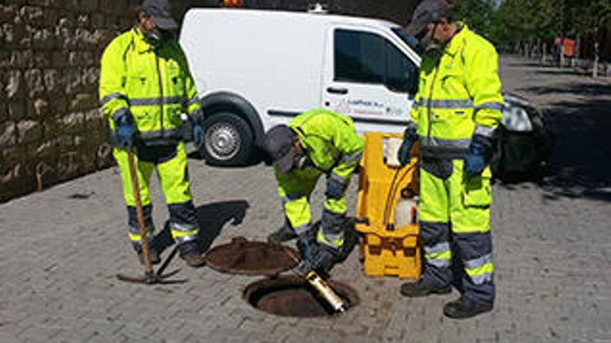 Imagen de un tratamiento de eliminación de cucarachas en alcantarillado en Alicante