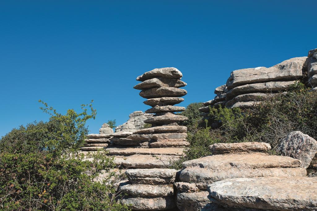 Tornillo del Torcal de Antequera.