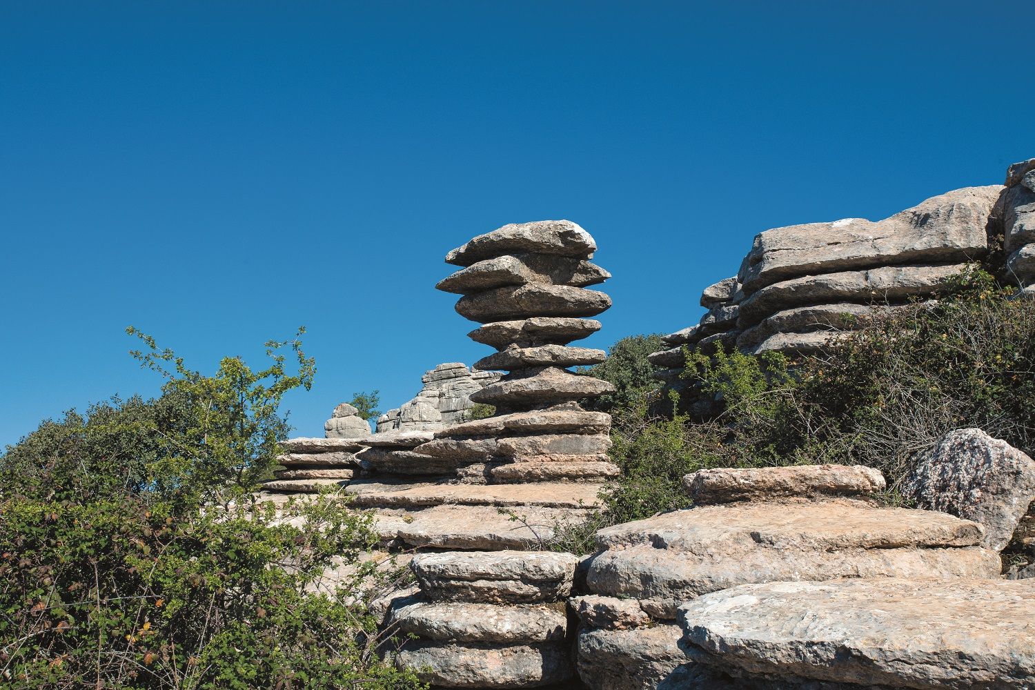 Tornillo del Torcal de Antequera.