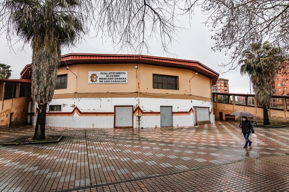 Galería | El Mercado Dehesa de los Caballos de Cáceres