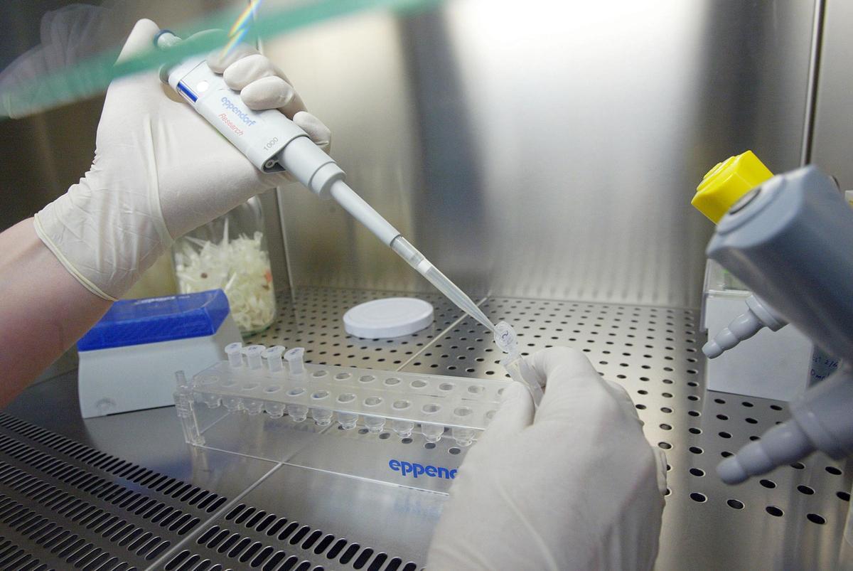 Un virus primitiu essencial per a la vida