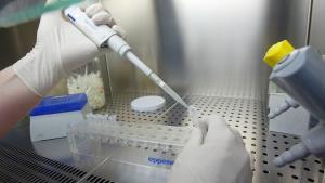 Investigadores trabajan con pruebas de ADN.