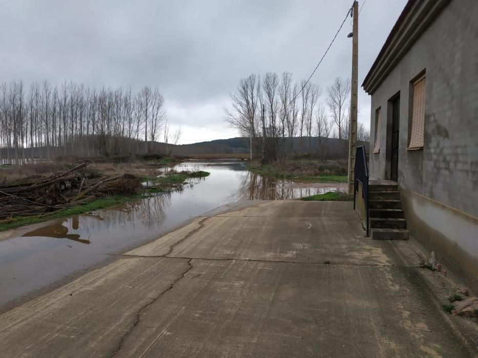 Benavente | El río Órbigo rodea ya Vecilla de la P