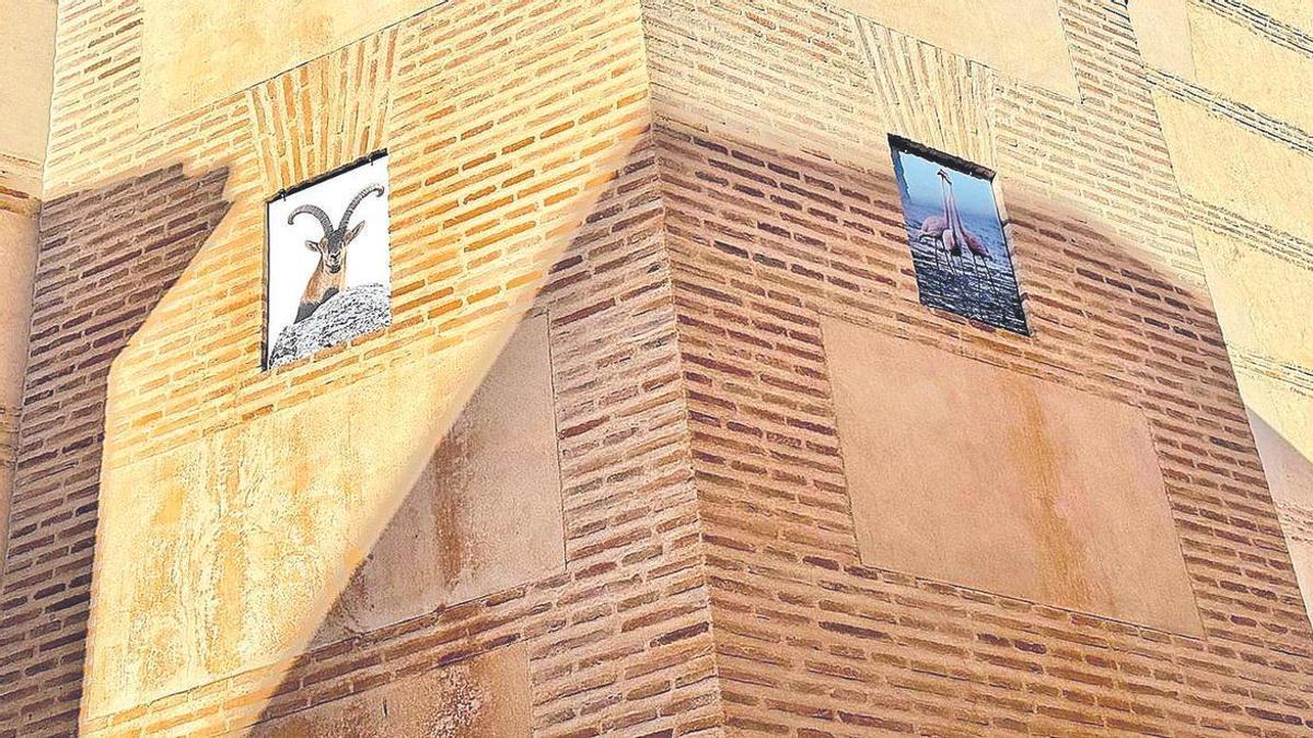 Exposición en Espacio Tribuna en Antequera