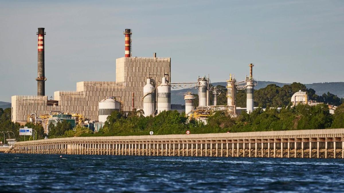 Planta de Ence en Lourizán
