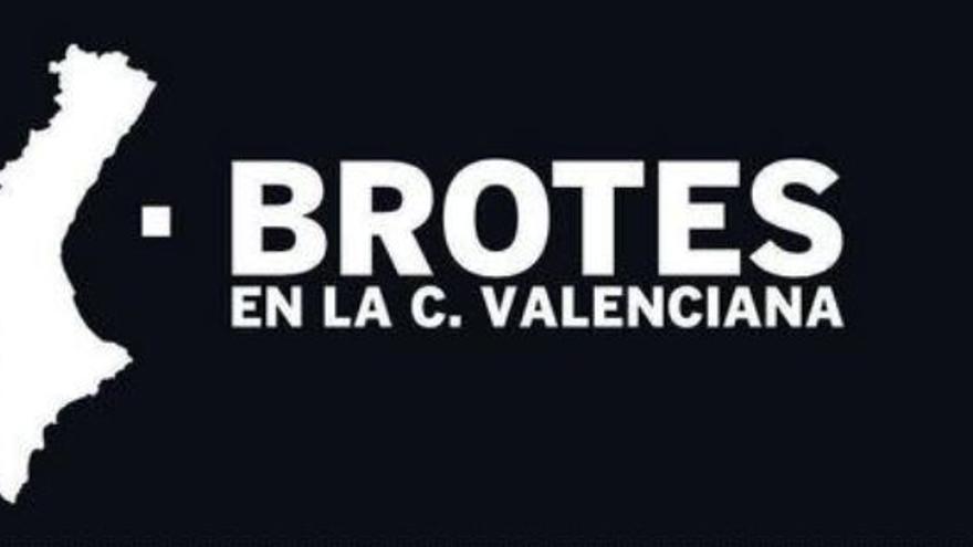 Brotes