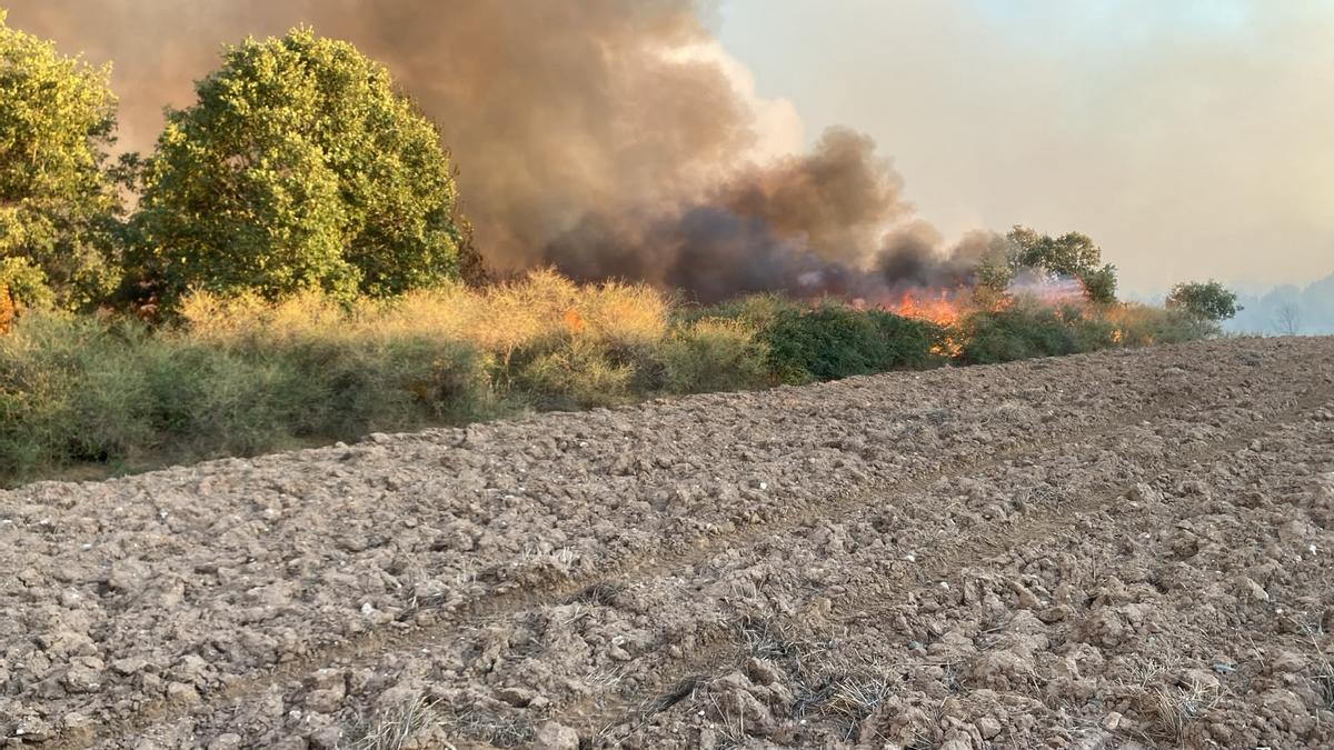 GALERÍA | Incendio forestal en Rábano de aAliste GALERÍA | Incendio forestal en Rábano de aAliste