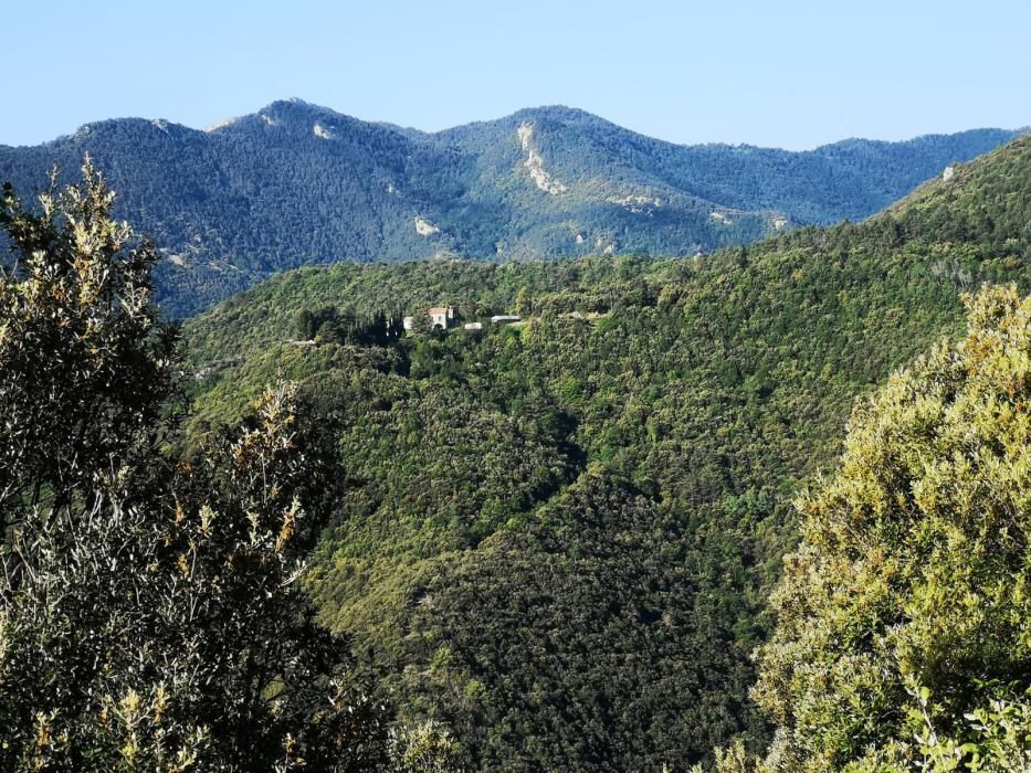 Tots els racons de Maçanet tenen atractiu.