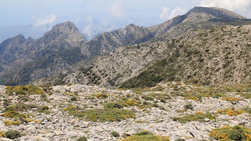 Imagen de archivo de las Sierras de Tejeda, Almijara y Alhama.