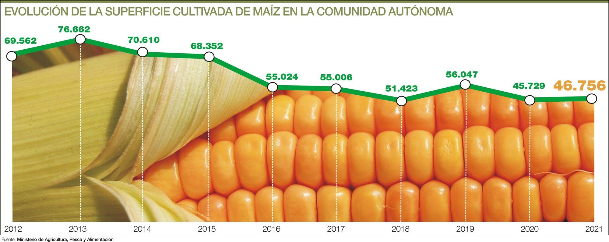 Evolución de la superficie cultivada de maíz en la comunidad autónoma.