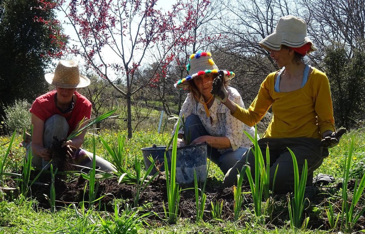 La asociación, en la finca de Torremega.